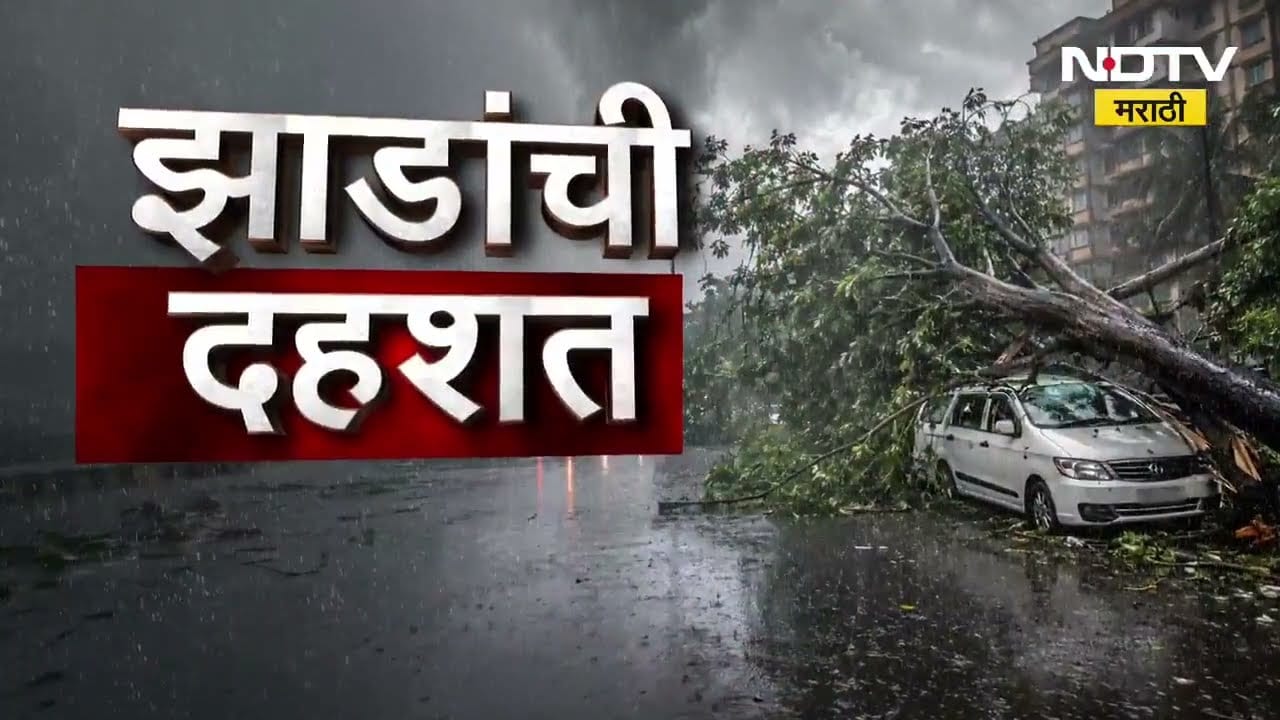 पावसाने झोडपलं; Mumbai सह उपनगरात झाडं, फांद्या पडण्याच्या 103 घटना; 17 ठिकाणी घरांचं नुकसान