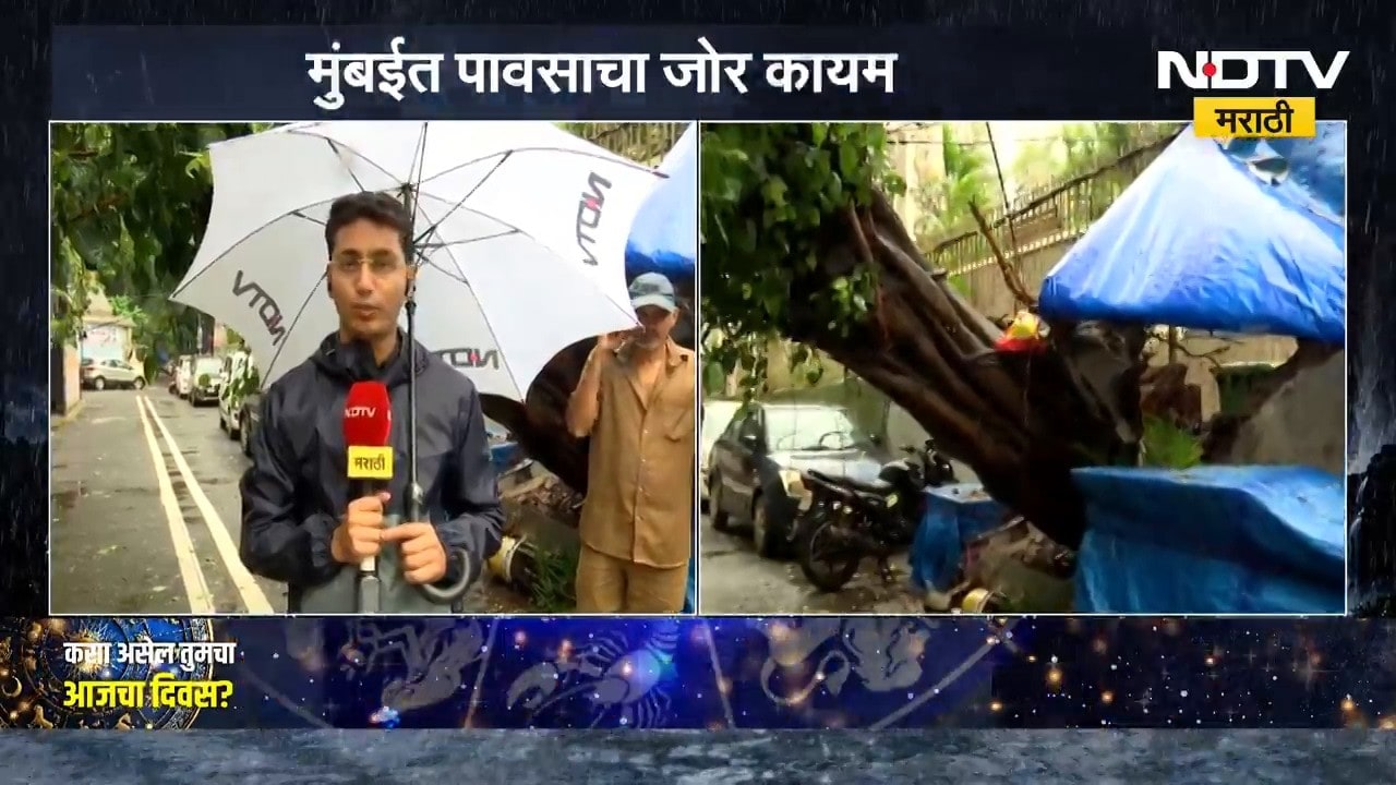 Mumbai मध्ये पावसाचा जोर कायम, प्रभादेवीत झाड कोसळलं घटनास्थळावरुन NDTV मराठीचा आढावा | Rain