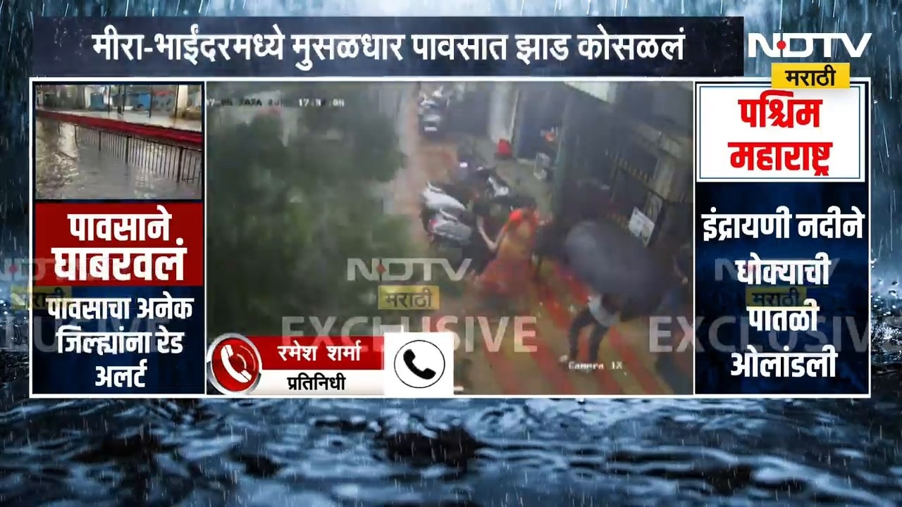 मीरा-भाईंदरमध्ये मुसळधार पावसात झाड कोसळलं | Heavy Rain | NDTV मराठी