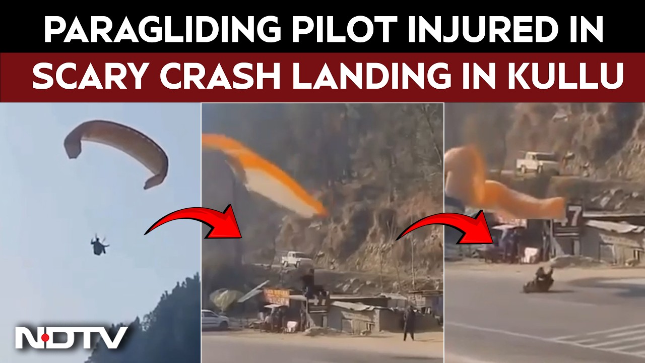 Viral Video | Paragliding Pilot Injured In Crash Landing On Road In Himachal's Kullu