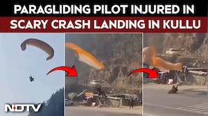 Viral Video | Paragliding Pilot Injured In Crash Landing On Road In Himachal's Kullu