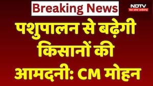 CM Mohan Yadav: पशुपालन से बढ़ेगी किसानों की आमदनी | Livestock Farming | MP News । Animal Husbandry