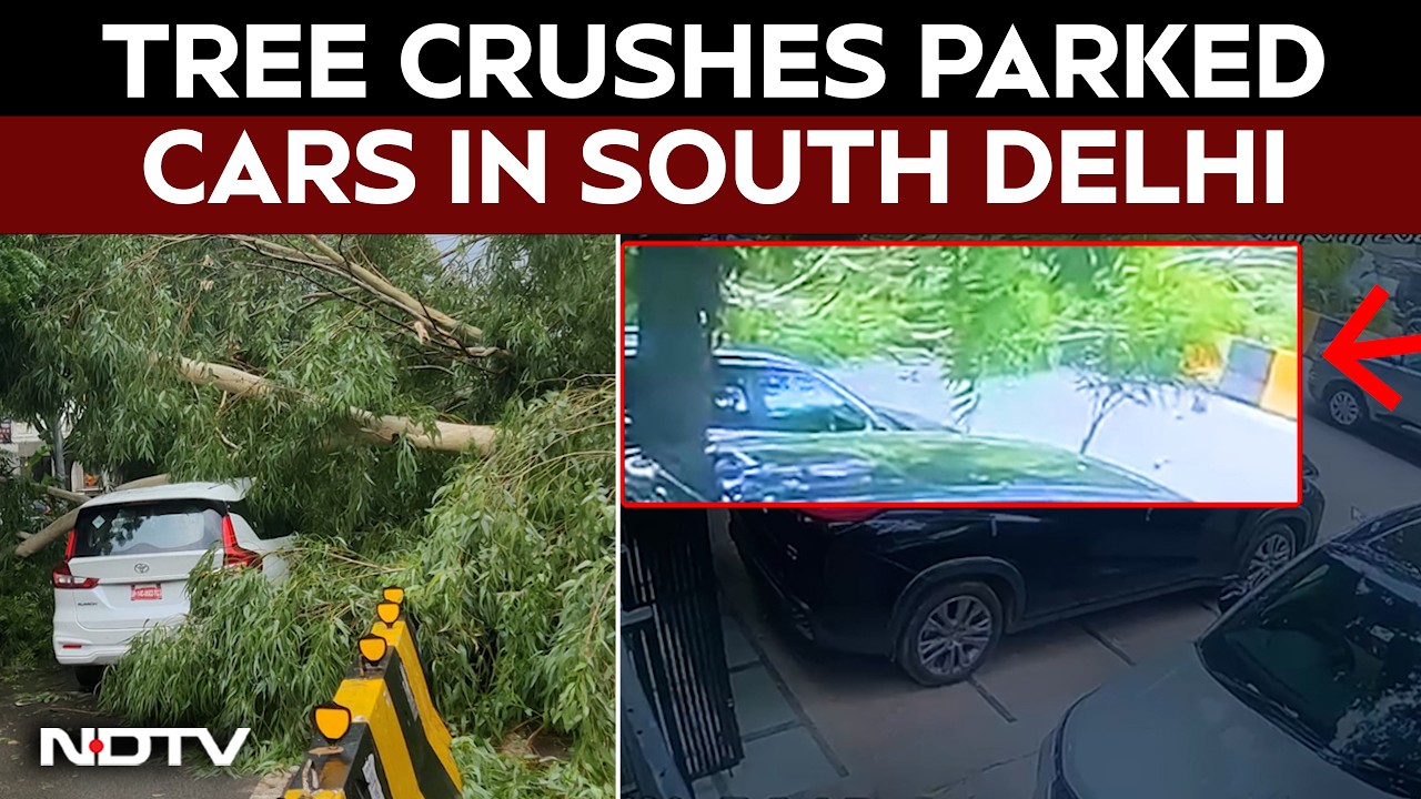 Delhi Monsoon Arrives; Tree Crushes Parked Cars In East Of Kailash