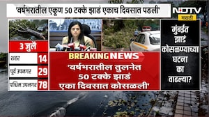 वर्षभरातील एकूण 50% झाडं एकाच दिवसात पडली, झाडे कोसळण्याच्या घटनांबाबत आयुक्तांचं स्पष्टीकरण