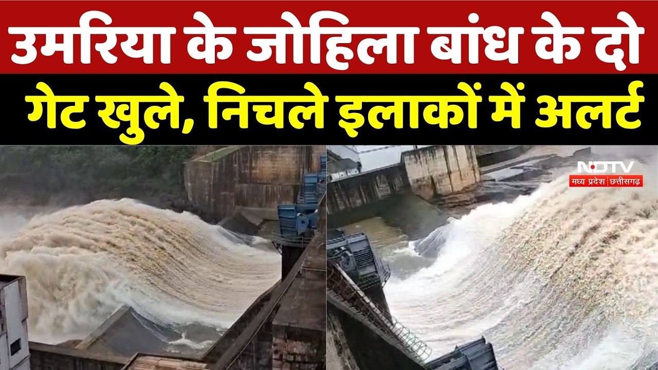 Heavy Rain: Umaria के जोहिला बांध के दो गेट खुले, निचले इलाकों में अलर्ट | Monsoon Alert | Top News