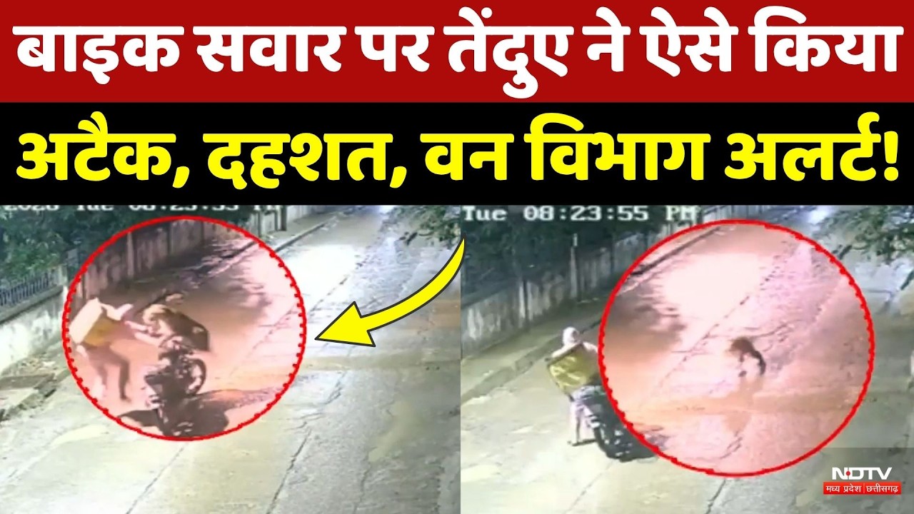 Indore Leopard Attack: तेंदुए ने Delivery boy पर किया जानलेवा हमला, रोंगटे खड़े कर देगा ये Video!