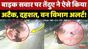 Indore Leopard Attack: तेंदुए ने Delivery boy पर किया जानलेवा हमला, रोंगटे खड़े कर देगा ये Video!