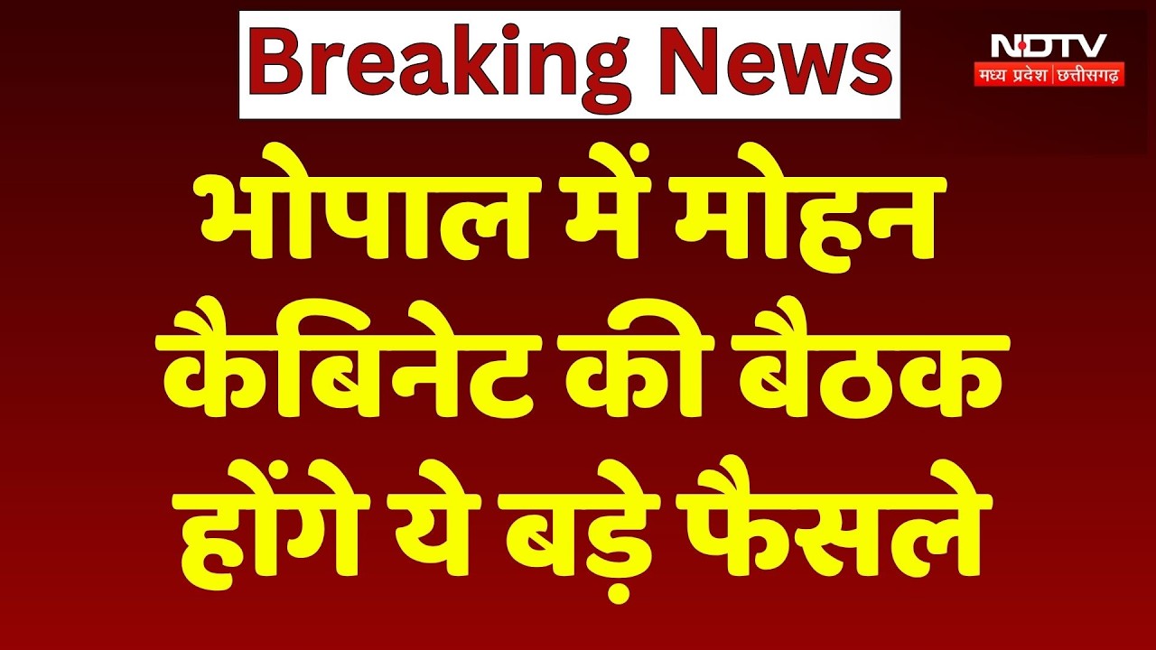 MP Cabinet Meeting: मोहन कैबिनेट की बड़ी बैठक, लिए जाएंगे ये बड़े फैसले! Breaking News | Top News