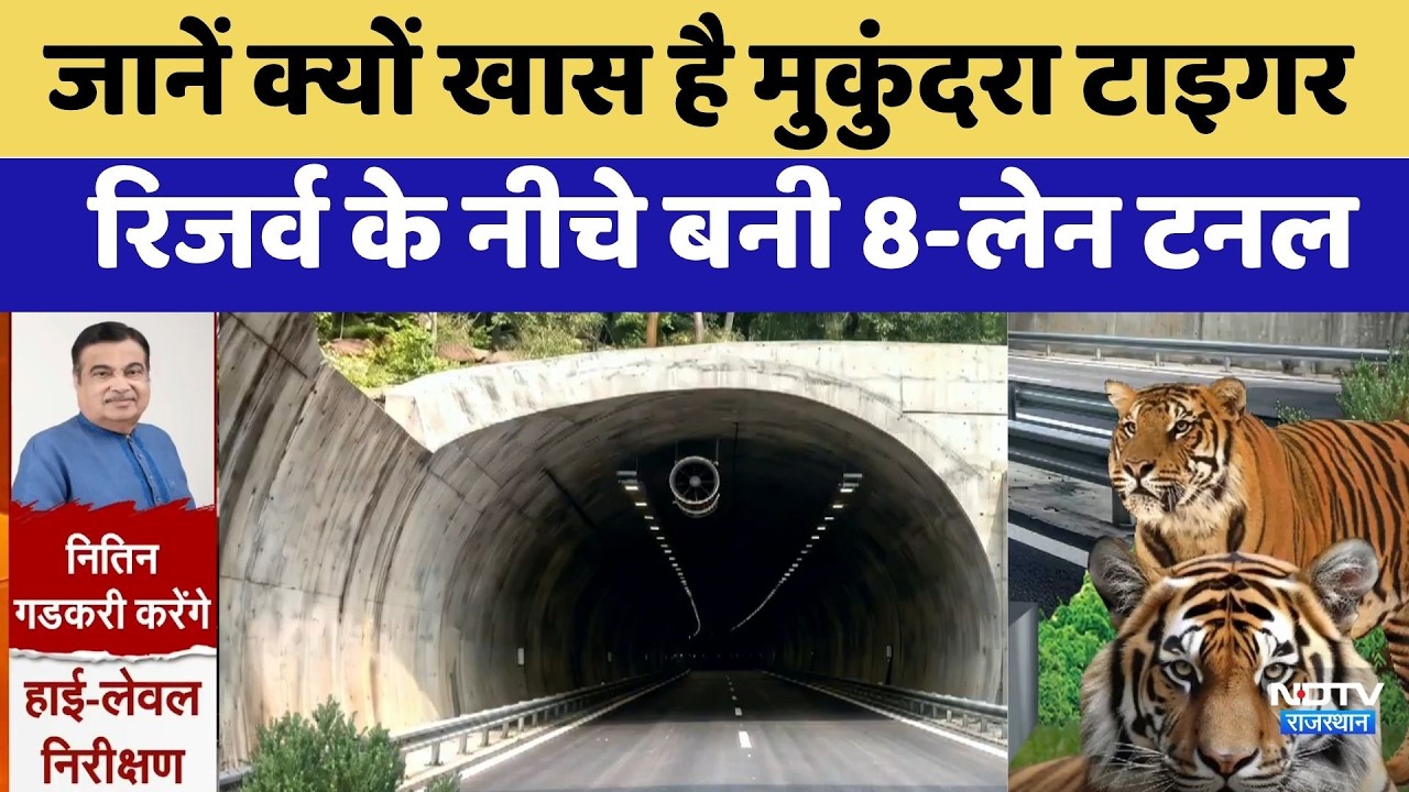 Alwar: जानें क्यों खास है Mukundara Tiger Reserve के नीचे बनी 8-Lane Tunnel