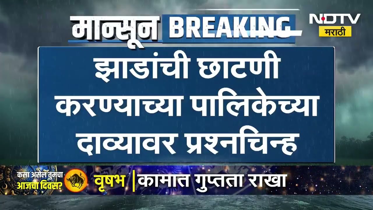 Navi Mumbai Tree Collapse Data | नवी मुंबईत तीन दिवसात 118 झाडं कोसळली