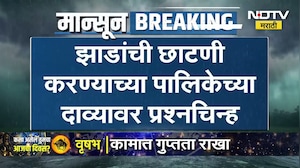 Navi Mumbai Tree Collapse Data | नवी मुंबईत तीन दिवसात 118 झाडं कोसळली