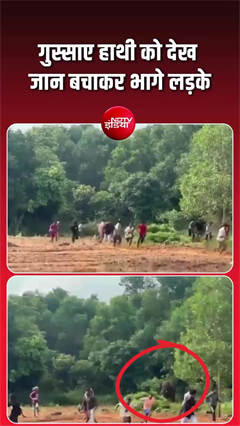 गुस्&zwj;साए हाथी को देख जान बचाकर भागे लोग
