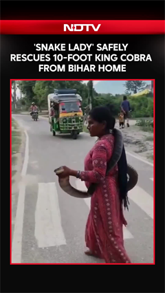 'Snake Lady' Safely Rescues 10-Foot King Cobra From Bihar Home