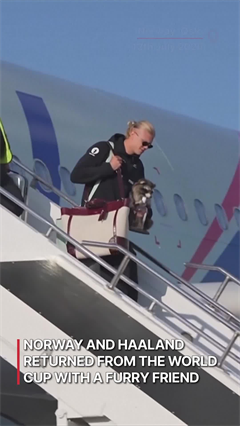 FIFA 2026 | Not Golden Boot, Erling Haaland Returns Home with a Stuffed 'Whiskey Raccoon' After World Cup Exit