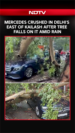 Mercedes Crushed In Delhi's East Of Kailash After Tree Falls On It Amid Rain