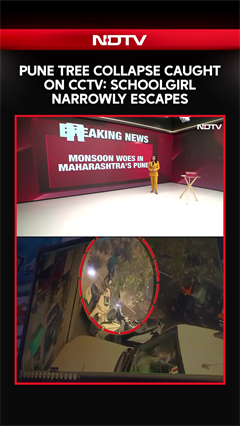 Pune Tree Collapse: Schoolgirl Narrowly Escapes During Heavy Rain