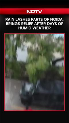 Delhi NCR Rain | Rain Lashes Parts of Noida, Brings Relief After Days of Humid Weather