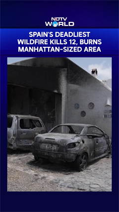 Video: Spain's Deadliest Wildfire Kills 12, Burns Manhattan-Sized Area