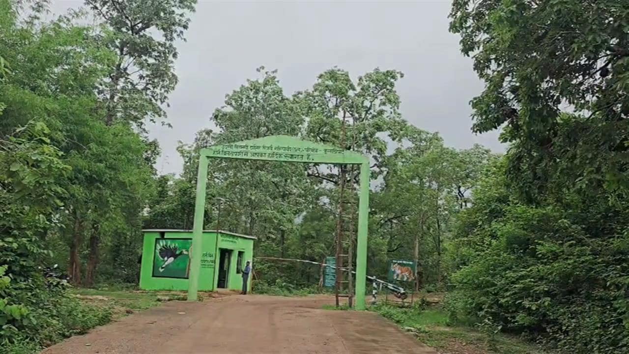 कभी नक्सलियों के साए में घिरी थी यहां की खूबसूरती, अब गोलियां नहीं, हॉर्नबिल की आवाज गूंज रही