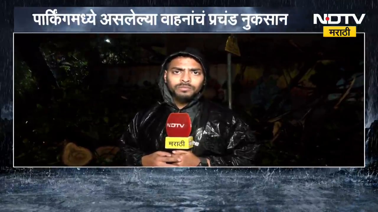 Mahim मध्ये मोठं झाड कोसळून दुर्घटना, उंबराचं झाड कोसळून वाहनांचं मोठं नुकसान