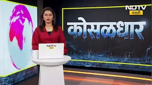 Nariman Point परिसरात भलेमोठे बदामाचे झाड मुळासकट कोसळलं,नागरिकांना पोलिसांनी हटल्यानं दुर्घटना टळली