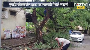 मुंबईत कोसळलेलं झाड पाहण्यासाठी गेलेले 8 जण जखमी, मुंबईत दिवसभरात झाडं पडण्याच्या 91 तक्रारी
