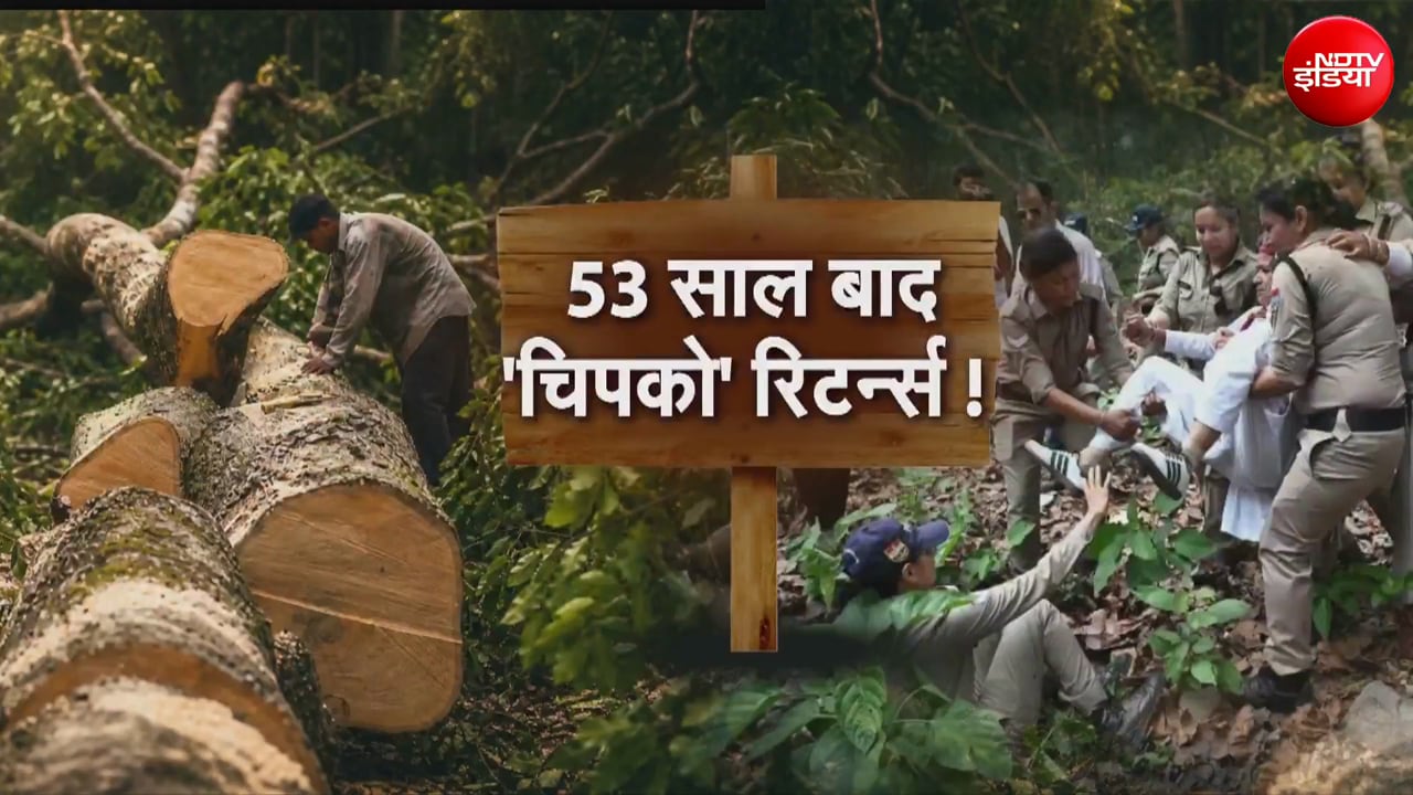 53 साल बाद चिपको आंदोलन की वापसी, देहरादून में दी जा रही हजारों पेड़ों की बलि!