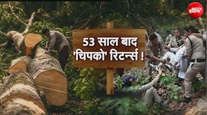 53 साल बाद चिपको आंदोलन की वापसी, देहरादून में दी जा रही हजारों पेड़ों की बलि!