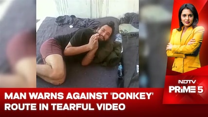 Punjab Man Warns Against 'Donkey' Route In Tearful Video From Mexico: "Made A Mistake":