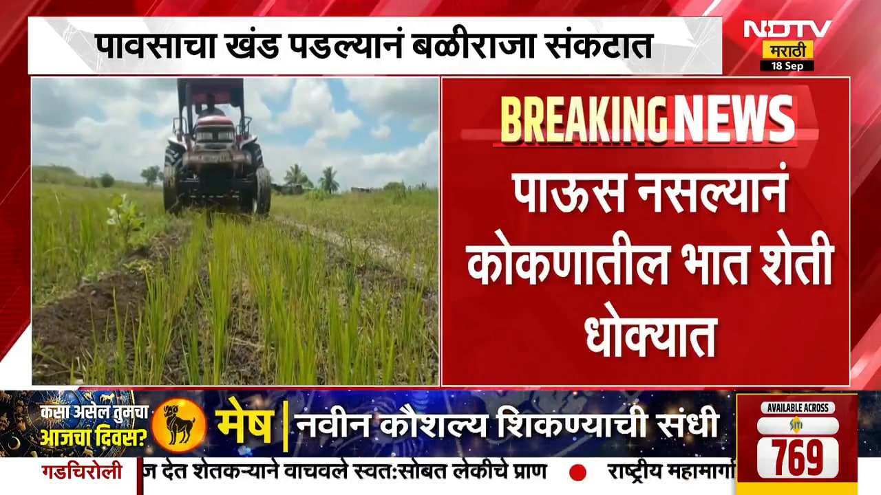 Rain News | पाऊस नसल्याने कोकणात भात शेती धोक्यात, आंबा, काजू नारळाच्या पिकांवर मोठा परिणाम