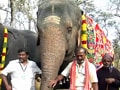 Video : Tamil Nadu temple elephants on vacation