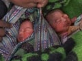 Video : Denied help, she delivered twins outside 2 hospitals, then died