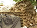 Video : Grain worth 3 crore, meant for poor, missing from Allahabad godown