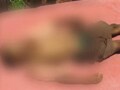 Video : 2 children die of snake bites at govt shelter