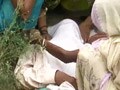 Video : Alleged caste killing in UP chief minister Akhilesh Yadav's district