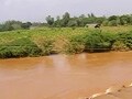 Video : Andhra Pradesh rain: Farmers worst hit, crops in 5 lakh hectare damaged