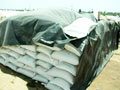 Video : Silo bags storage: Solution to India's storage problems?