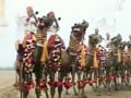 24 Hours: Camels on Rajpath (Aired: January 2010)