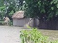 Videos : बिहार : पूर्णिया के 200 गांव बाढ़ की चपेट में