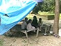 Videos : प्रतापगढ़ : कब्रिस्तान के बच्चों को सरकारी मदद का ऐलान