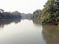 Video: Born Wild: Preserving Odisha's Bhitarkanika Mangroves (Aired: February 2006)