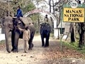 Born Wild: Welcome to Manas (Aired: September 2006)