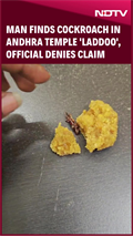 Man Says He Found Cockroach In Andhra Temple 'Laddoo', Official Denies ...