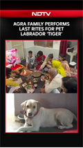 Agra Family Bids Emotional Farewell to Pet Labrador ‘Tiger’, Performs Last Rites