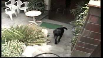 Video : कुत्ता चोरी में आईएएस पर केस