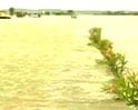 Videos : बाढ़ की मार