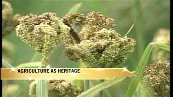 Video : World Environment Day: Agriculture as heritage