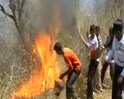 Video : हरिद्वार में आग