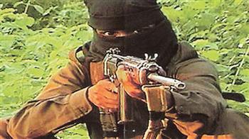 Will the Cabinet send in the Army to tackle Naxals?