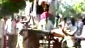 Videos : Campaigning on a bullock cart